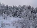 zima 2007-08_12